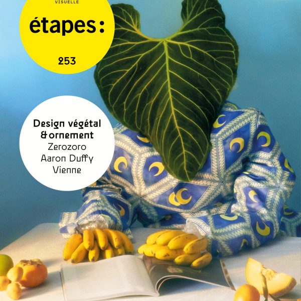 Étapes Magazine n°253 - jan / fev 20 - occasion
